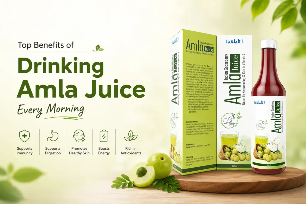 Healthbuffet Amla Juice with fresh amla fruits – Ayurvedic juice for immunity, digestion, and daily wellness